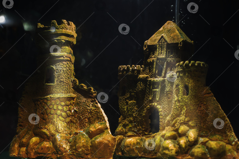Скачать В аквариуме есть декорации и миниатюры старинных замков. фотосток Ozero
