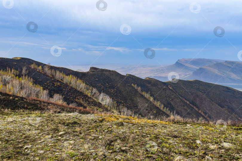 Скачать Горный пейзаж фотосток Ozero