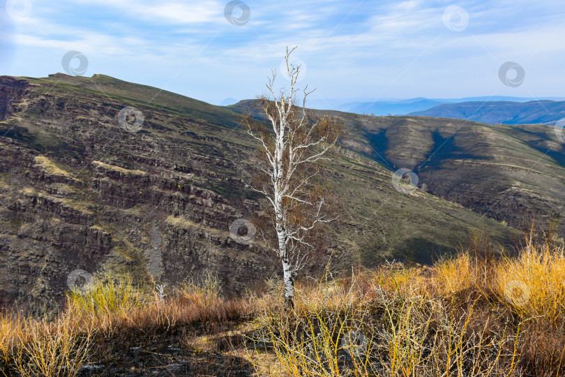 Скачать Горный пейзаж фотосток Ozero