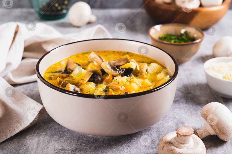 Скачать Вкусный суп с овощами, грибами и сыром в тарелке на стол фотосток Ozero