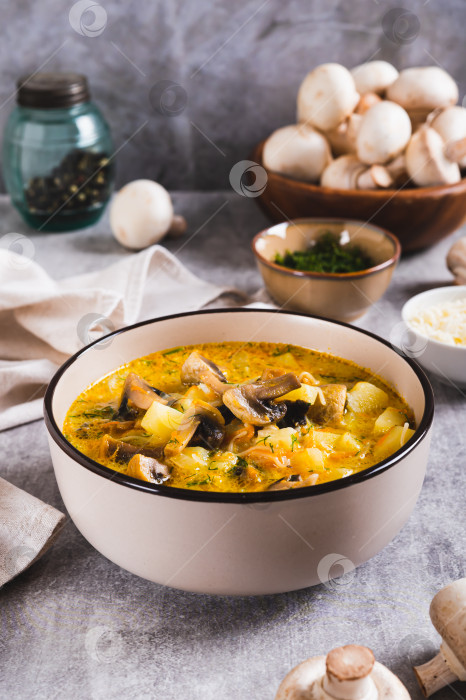 Скачать Вкусный суп с овощами, грибами и сыром в тарелке на столе в вертикальном положении фотосток Ozero