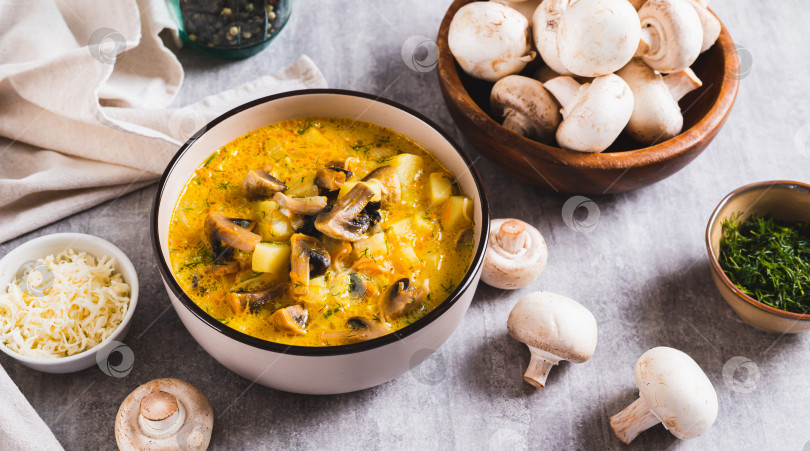 Скачать Вкусный суп с овощами, грибами и сыром в миске на столе - веб-баннер фотосток Ozero