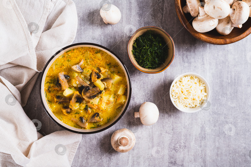 Скачать Вкусный суп с овощами, грибами и сыром в тарелке на столе вид сверху фотосток Ozero