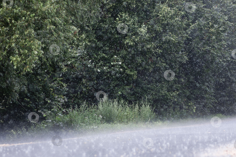 Скачать Сильный дождь в жаркий летний день на дороге фотосток Ozero