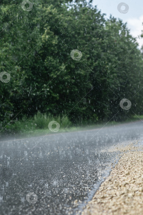 Скачать Сильный дождь в жаркий летний день на дороге фотосток Ozero