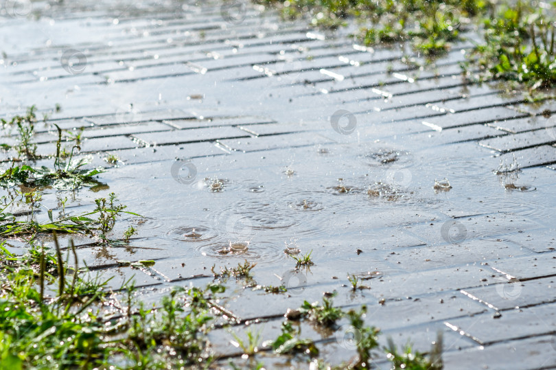 Скачать Сильный летний дождь льет на мощеный тротуар фотосток Ozero