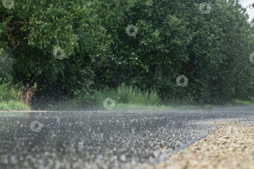 Скачать Сильный дождь в жаркий летний день на дороге фотосток Ozero