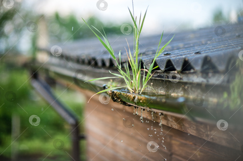 Скачать дождь капает с крыши в солнечный жаркий день фотосток Ozero