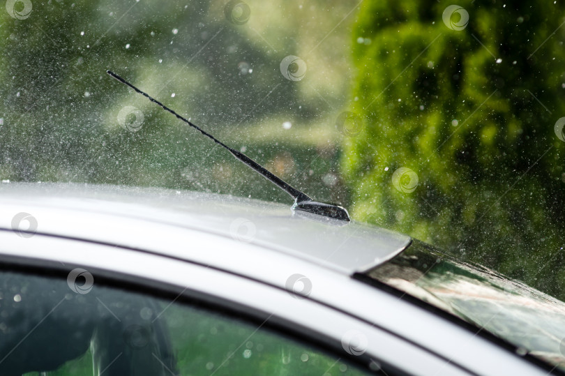 Скачать Сильный летний дождь барабанит по крыше автомобиля фотосток Ozero