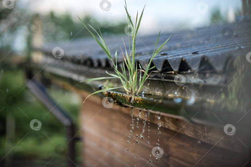 Скачать дождь капает с крыши в солнечный жаркий день фотосток Ozero