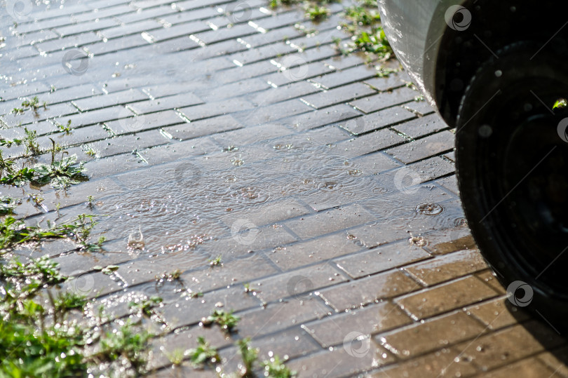 Скачать Сильный летний дождь льет на булыжную мостовую автостоянки фотосток Ozero