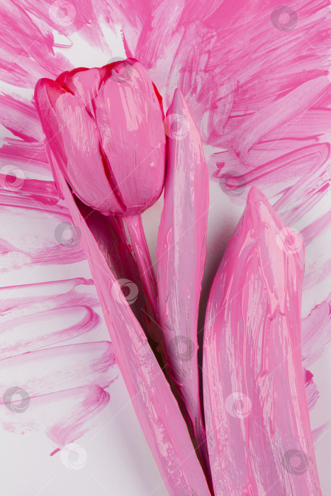 Скачать Розовый тюльпан на акварельном фоне. Концепция цветочного творчества. фотосток Ozero