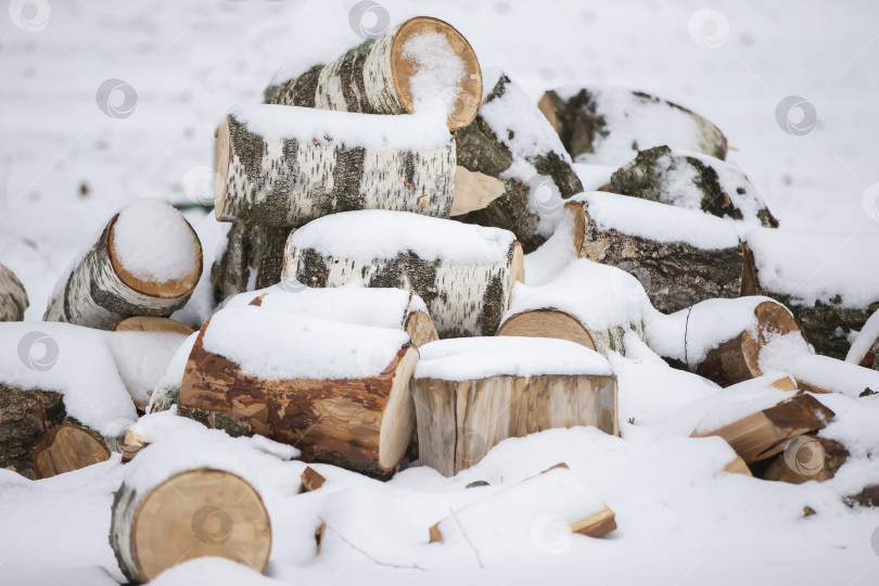 Скачать Дрова из березы, покрытые снегом. фотосток Ozero