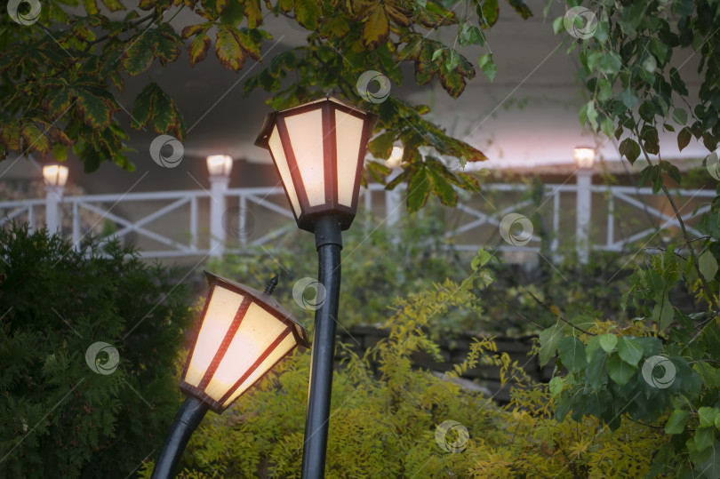 Скачать Два светящихся уличных фонаря изогнутой загородной формы. фотосток Ozero