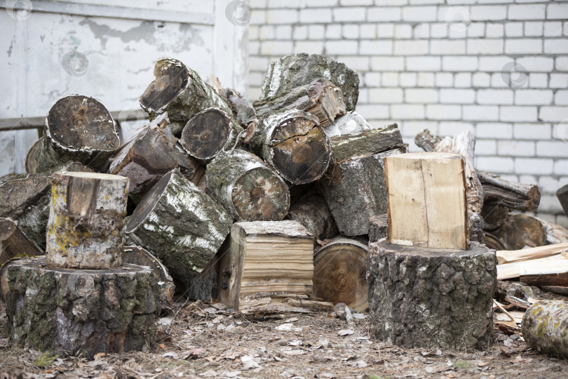 Скачать Березовые дрова сложены в большую кучу. фотосток Ozero