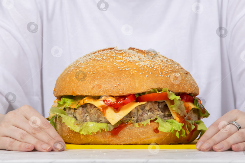 Скачать Большой бургер на столе на фоне женских рук. фотосток Ozero