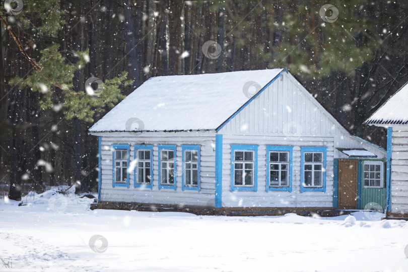 Скачать Деревянный дом в сосновом бору снежной зимой. фотосток Ozero