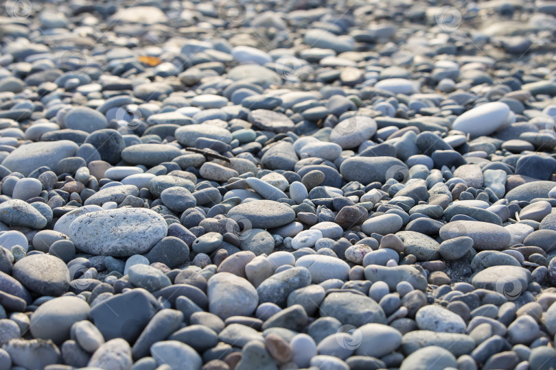 Скачать Большие перекатывающиеся морские камни на морском берегу. фотосток Ozero