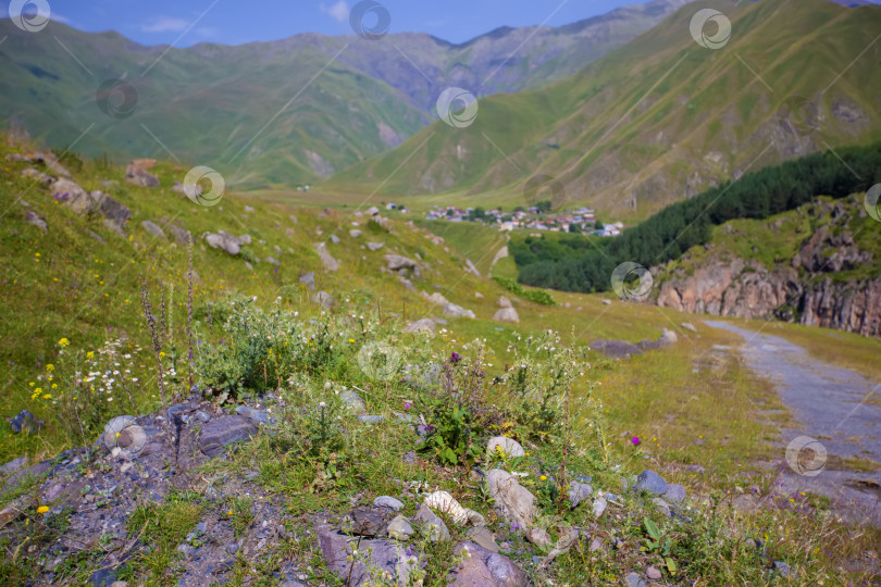 Скачать Горный пейзаж. Красивые горы и луга. фотосток Ozero