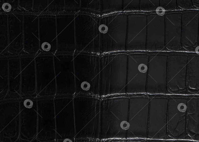 Скачать Черная дорогая крокодиловая кожа в градиенте. Дорогое изделие из крокодиловой кожи. фотосток Ozero