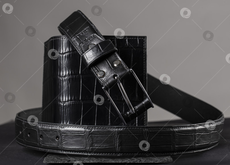 Скачать Дорогие изделия - ремень и кошелек из кожи крокодила. Элитная натуральная выделанная кожа. фотосток Ozero