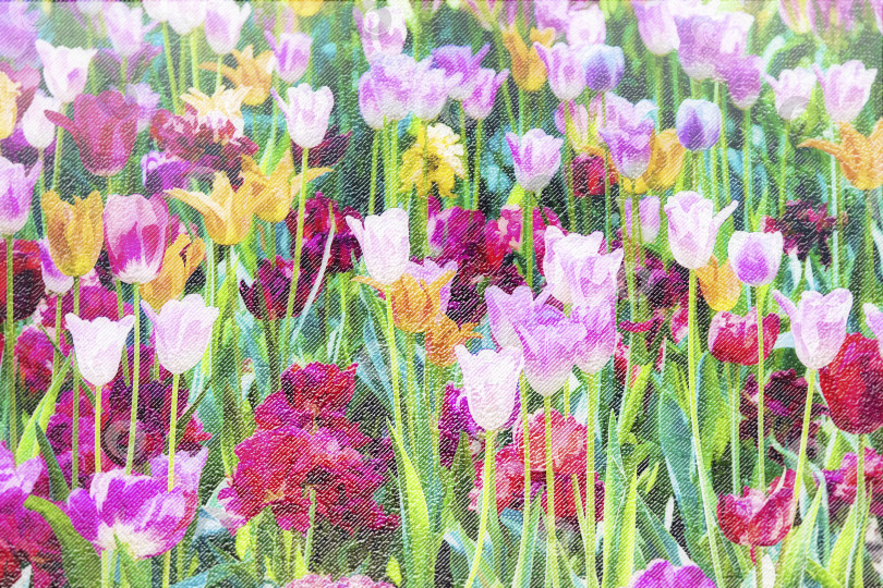 Скачать На бумажном фоне разноцветные цветы тюльпаны. Цветочный летний рисованный фон. фотосток Ozero