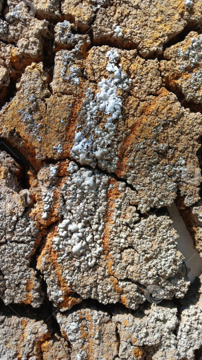 Скачать Трещины на стене фотосток Ozero