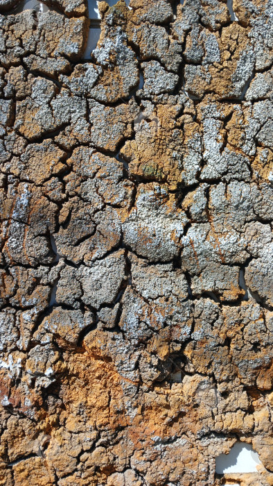 Скачать Трещины на стене фотосток Ozero