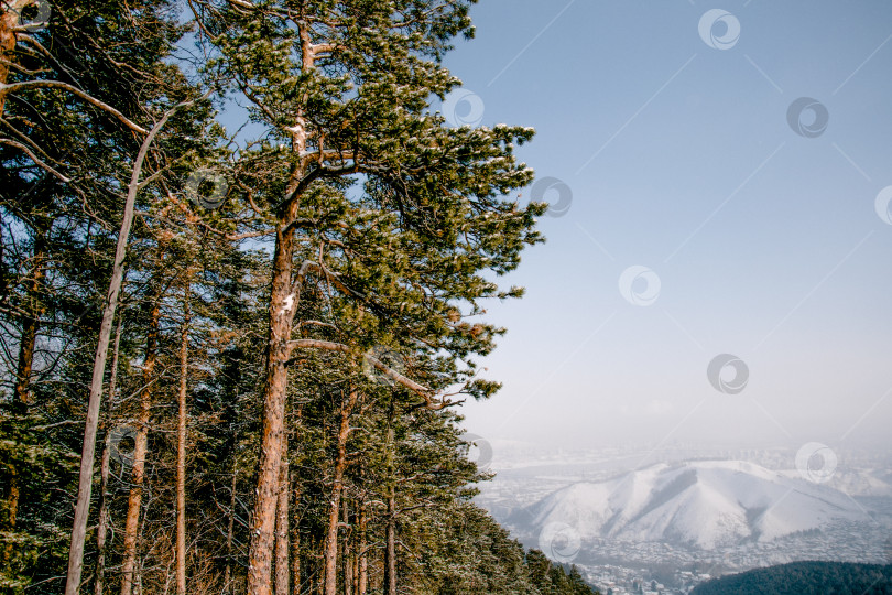 Скачать Пейзаж заснеженной Сибири, Красноярские горы, вершины которых окутаны зимней дымкой фотосток Ozero