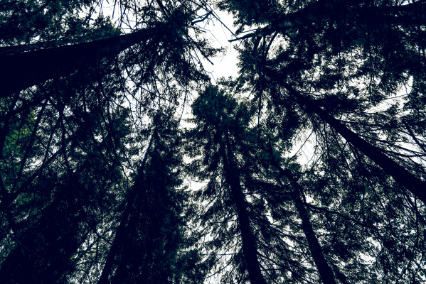 [object Object] undefined