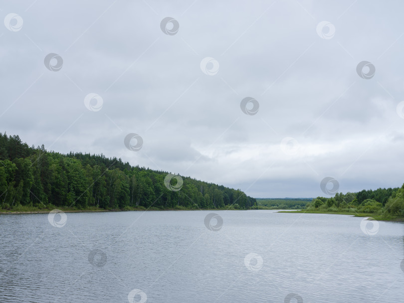 Скачать большое озеро и зеленый лес по его берегам фотосток Ozero