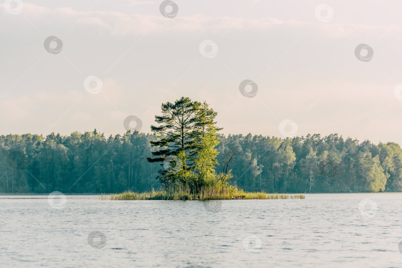 Скачать Пейзаж летней реки Вуокса среди камней, водохранилище с быстрым течением, Россия фотосток Ozero