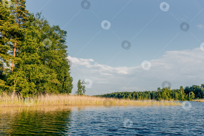 Скачать Пейзаж летней реки Вуокса среди камней, водохранилище с быстрым течением, Россия фотосток Ozero