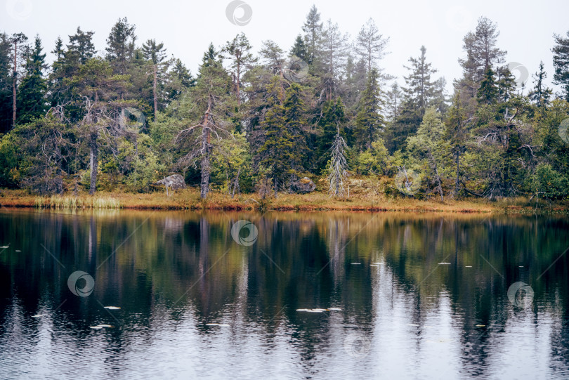Скачать Озеро на вершине горы Воттоваара в Карелии, Россия, летний пейзаж в пасмурный день фотосток Ozero