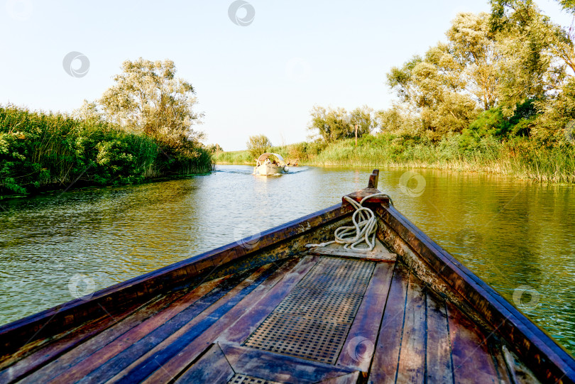 Скачать Деревянная лодка-яхта, плывущая по воде Скадарского озера в Черногории, летний пейзаж фотосток Ozero