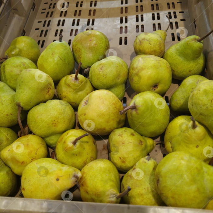 Скачать Отдел груш в магазине "Магнит". фотосток Ozero