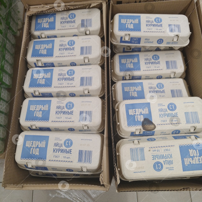 Скачать Отдел яиц в магазине "Чижик". фотосток Ozero