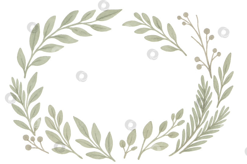 Скачать Венок из оливковых веток с простыми листьями на прозрачном фоне фотосток Ozero