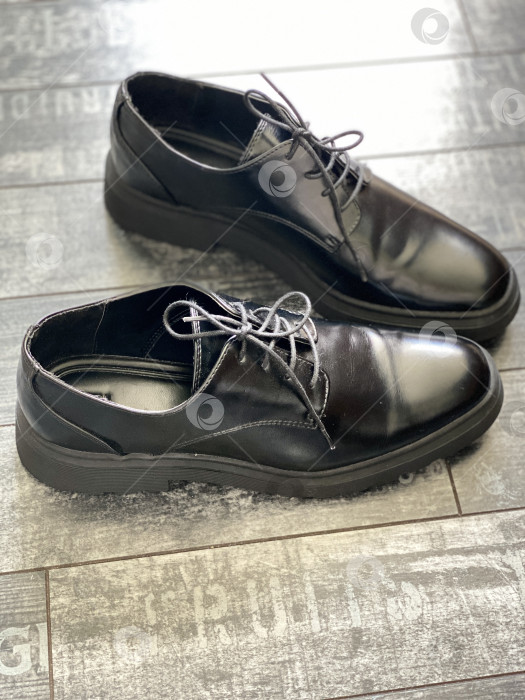 Скачать Черные кожаные туфли на деревянном полу, вид сверху для создания модной концепции обуви или фона фотосток Ozero