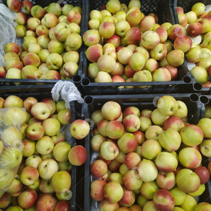 Скачать Отдел нектаринов в магазине "Smart". фотосток Ozero