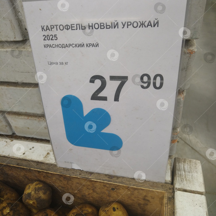 Скачать Отдел картофеля в магазине "Smart". фотосток Ozero