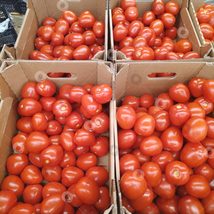 Скачать Отдел помидоров в магазине "Smart". фотосток Ozero