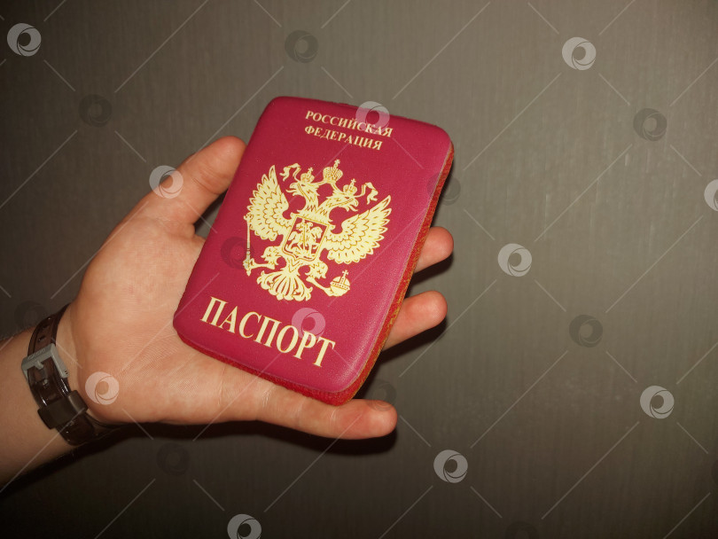 Скачать Имбирный пряник-паспорт РФ фотосток Ozero