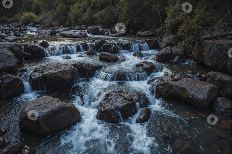 Скачать Лесная река фотосток Ozero