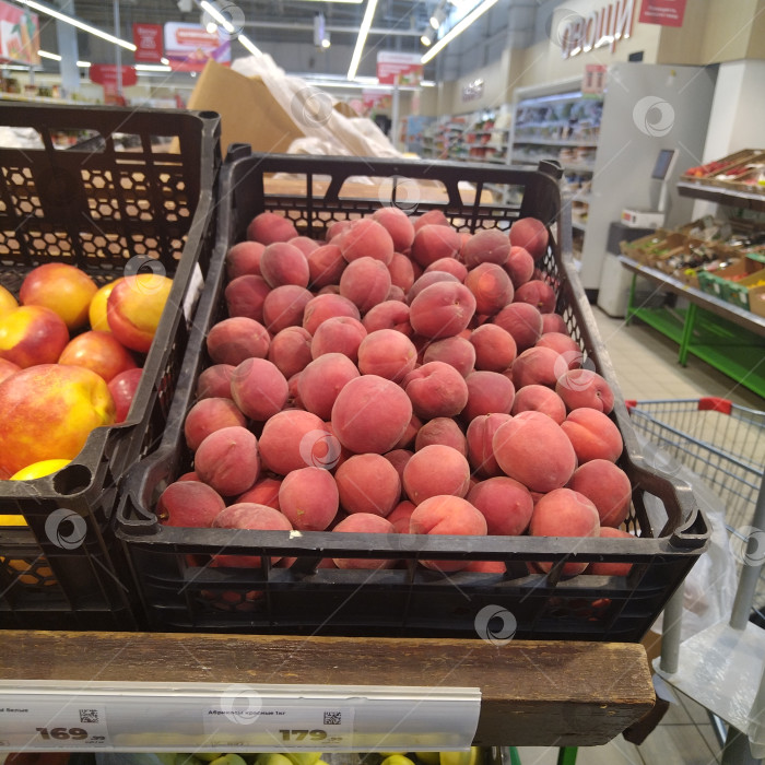 Скачать Отдел абрикосов в магазине "Магнит". фотосток Ozero