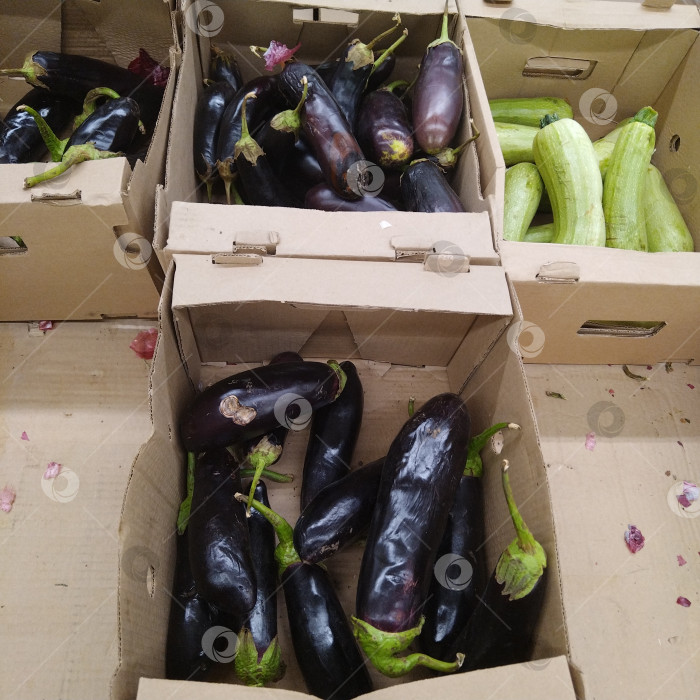 Скачать Отдел баклажанов в магазине "Победа". фотосток Ozero