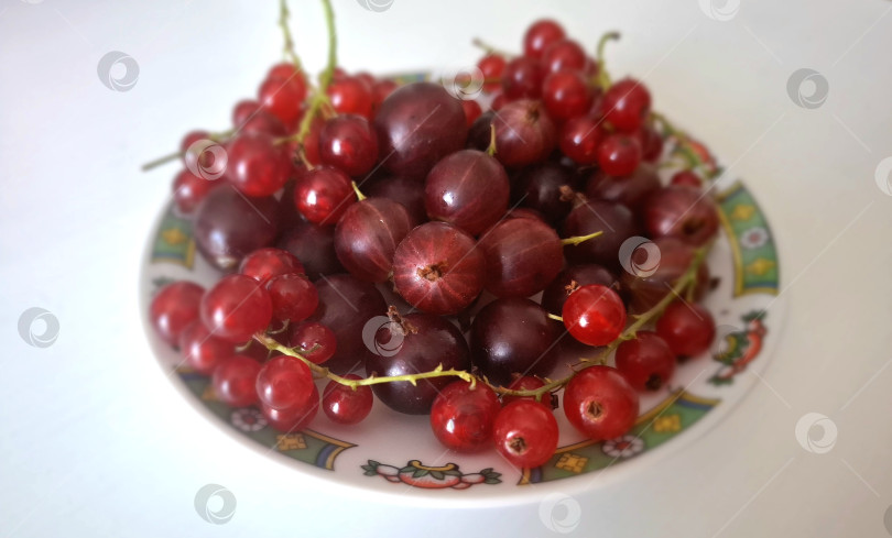 Скачать Ягоды, красная смородина и крыжовник на блюдечке фотосток Ozero