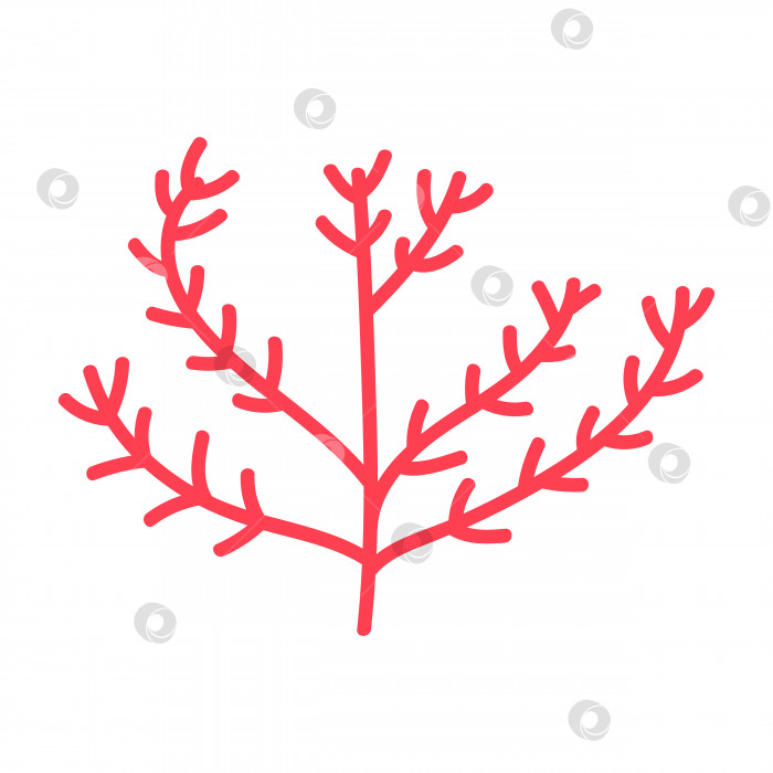 Скачать Изолированный объект морской флоры и фауны с красными асимметричными кораллами фотосток Ozero