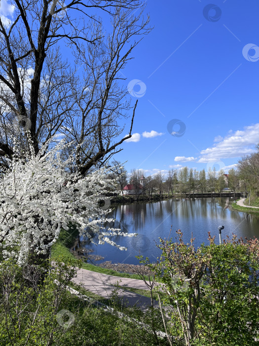 Скачать Весна на озере фотосток Ozero