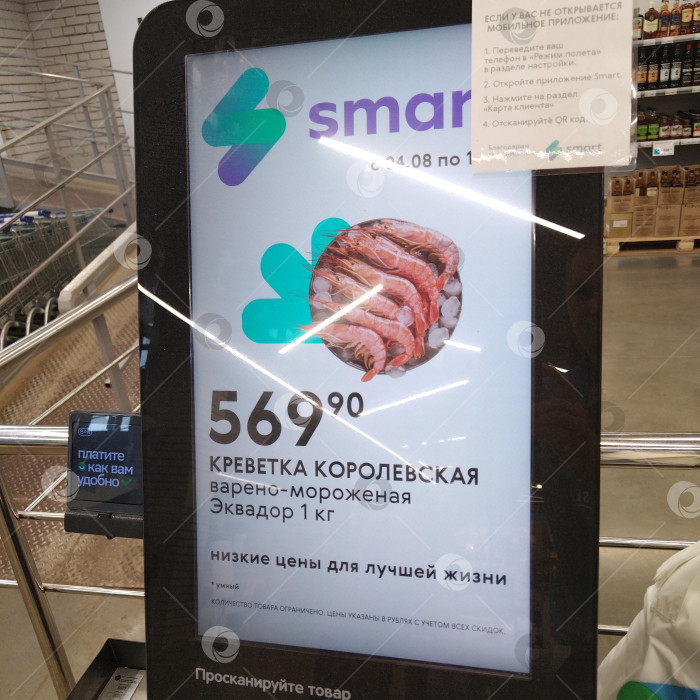 Скачать Терминал самообслуживания в магазине "Smart". фотосток Ozero